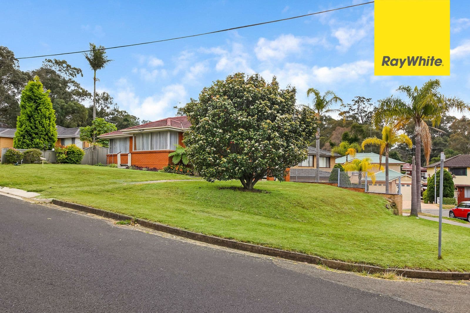 6 Carnation Street, Greystanes - Thumbnail 2