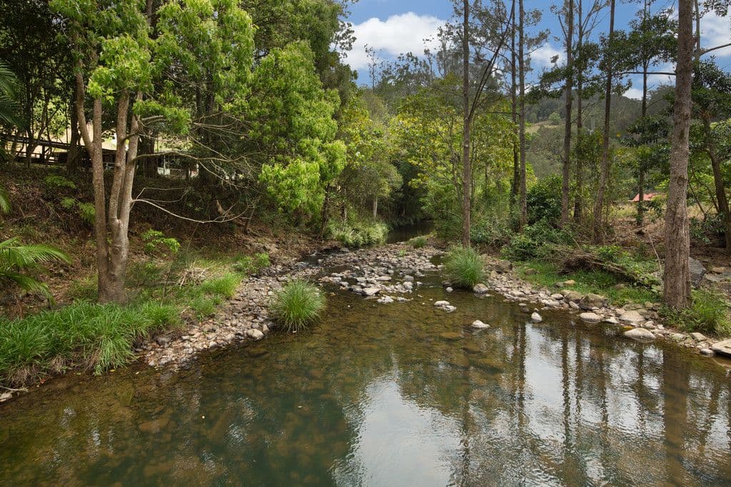 1484 Currumbin Creek Road, Currumbin Valley QLD 4223, Currumbin Valley - Image 1