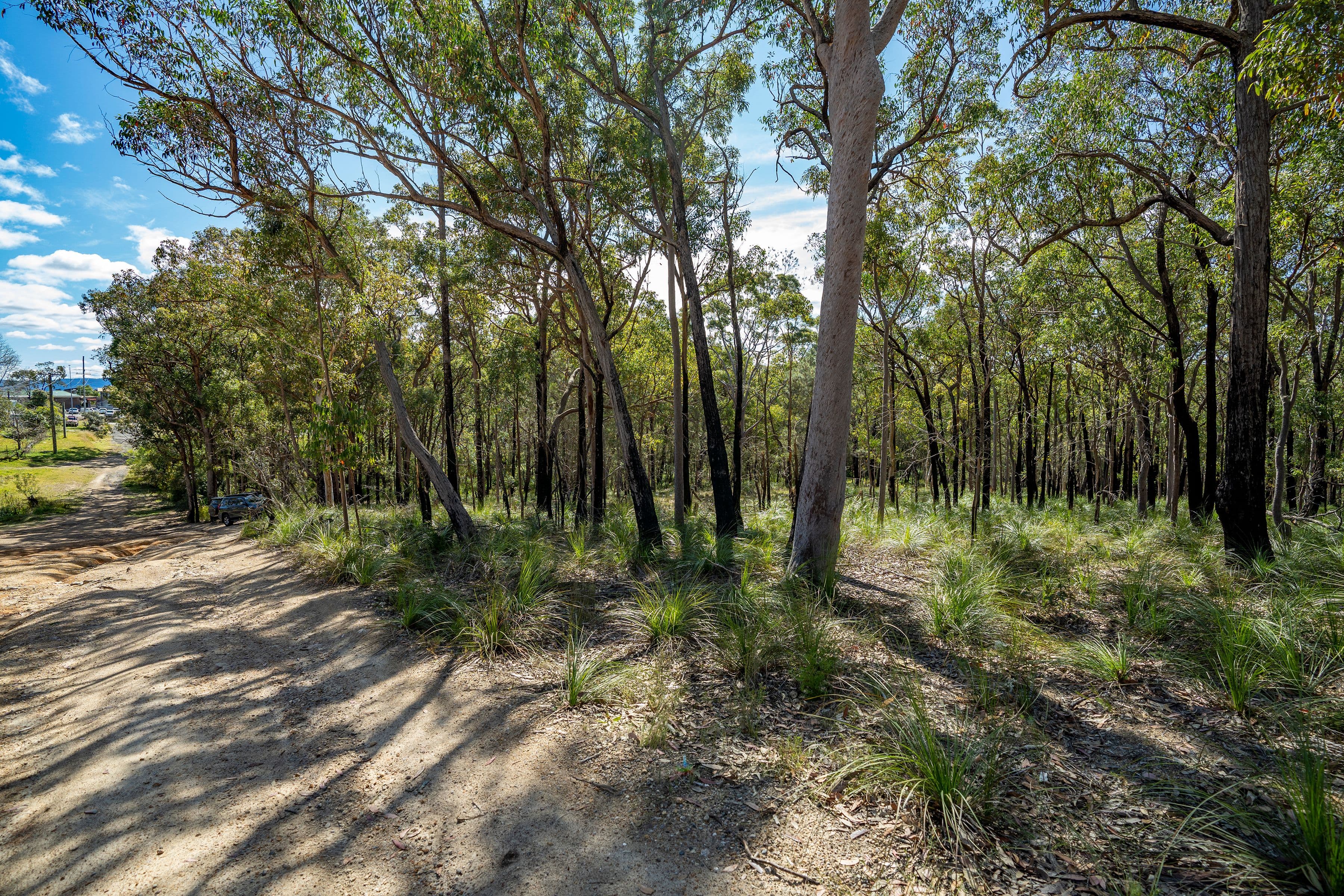 11 Rivergum Drive, Morisset NSW 2264, Morisset - Thumbnail 4