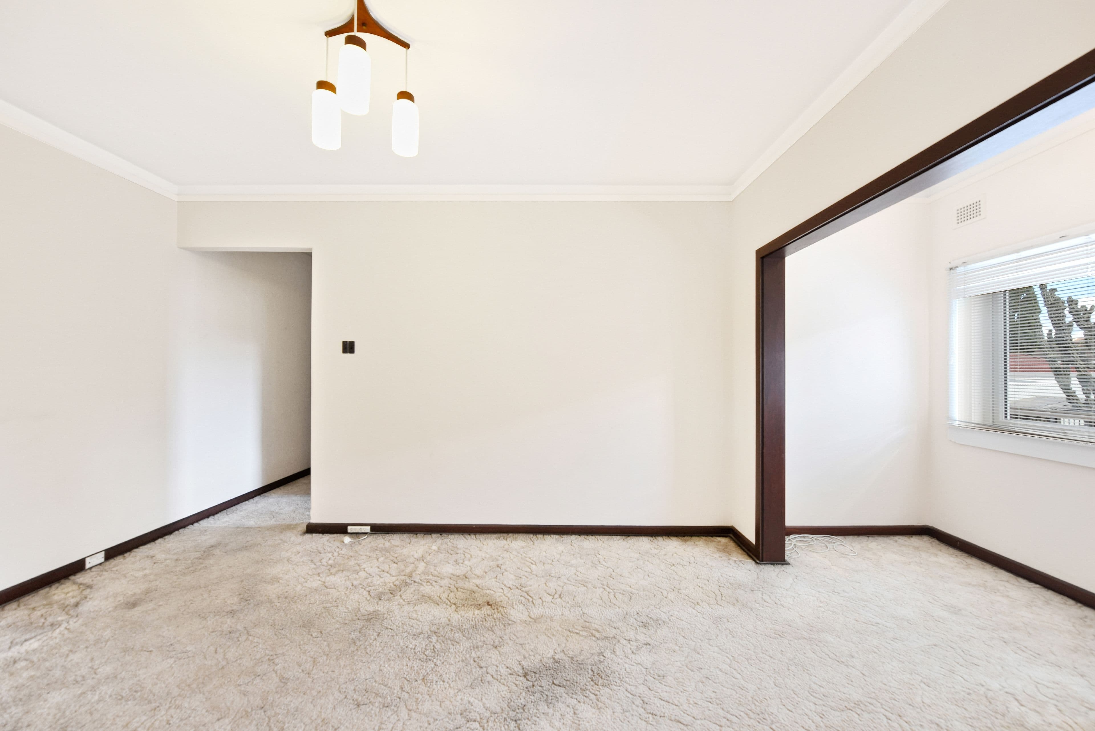 277 Alison Road, Coogee NSW 2034, Coogee - Thumbnail 3