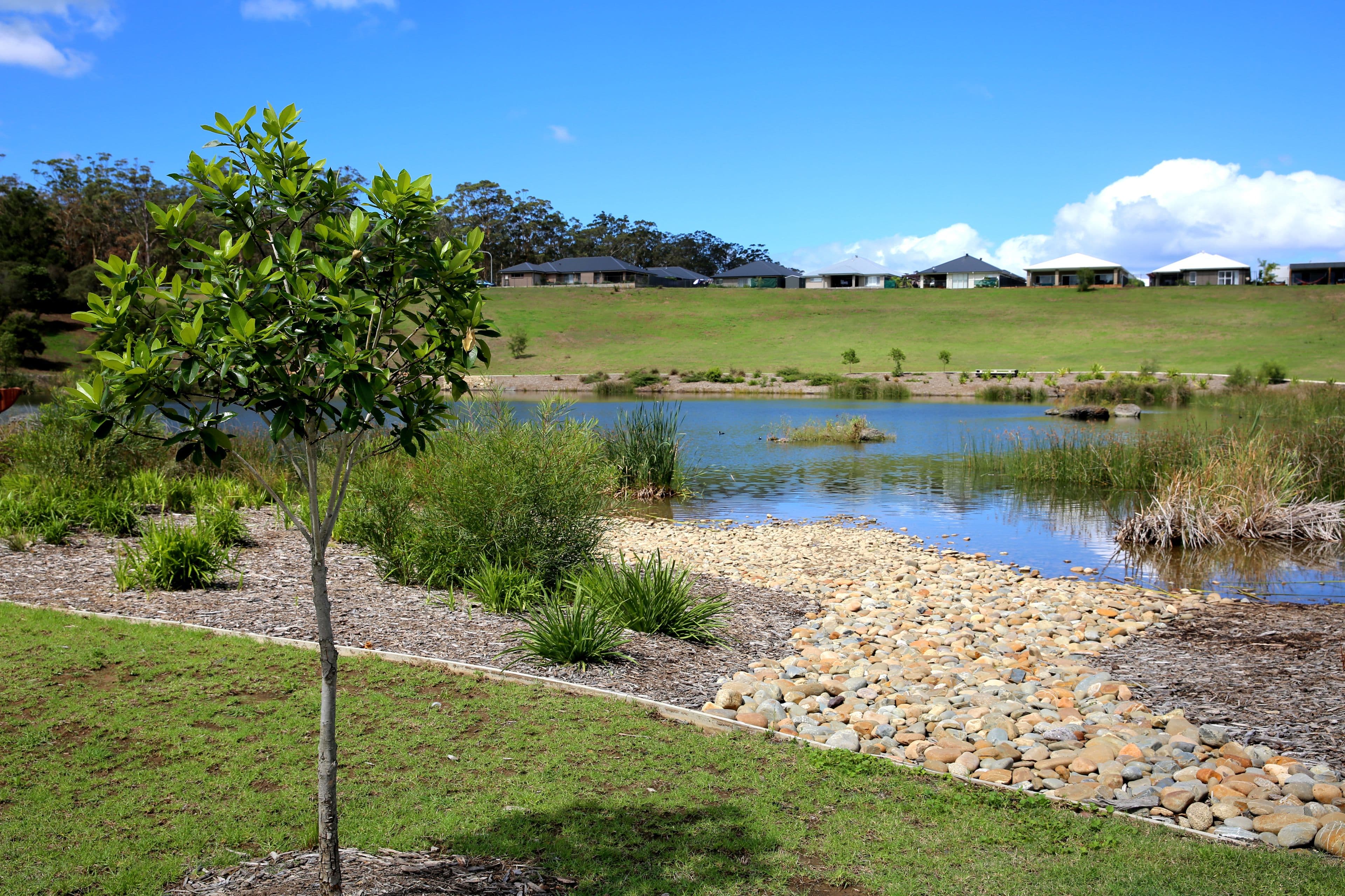 58 Basil Street, South Nowra NSW 2541, South Nowra - Thumbnail 3