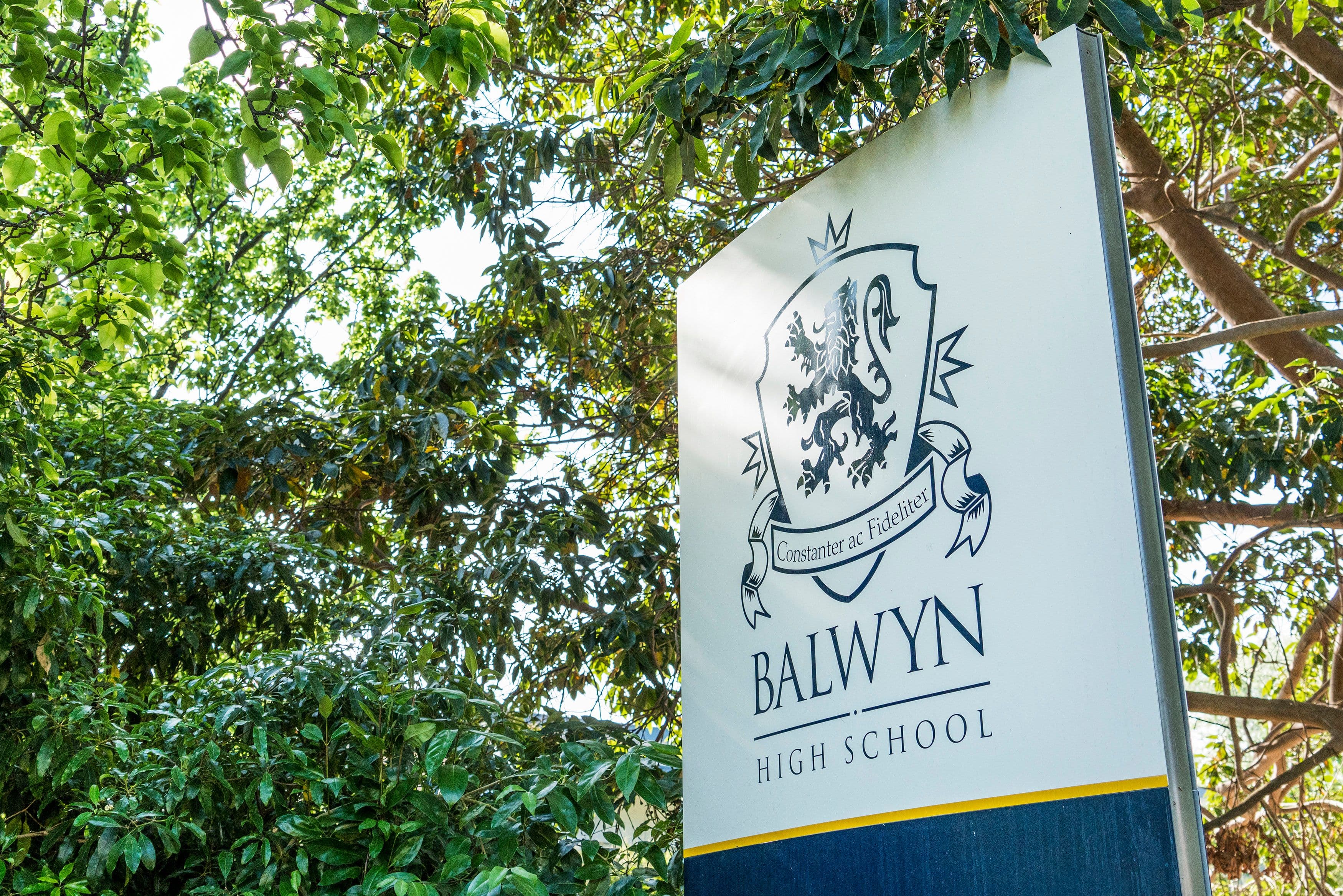 6 Highland Avenue, Balwyn VIC 3103, Balwyn - Thumbnail 5