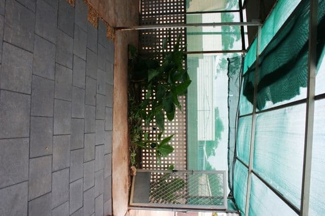 28 Fifth Street, CLEVE SA 5640, Cleve - Thumbnail 7