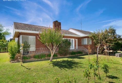 141 Grove Street, Kooringal, Kooringal - Image 1