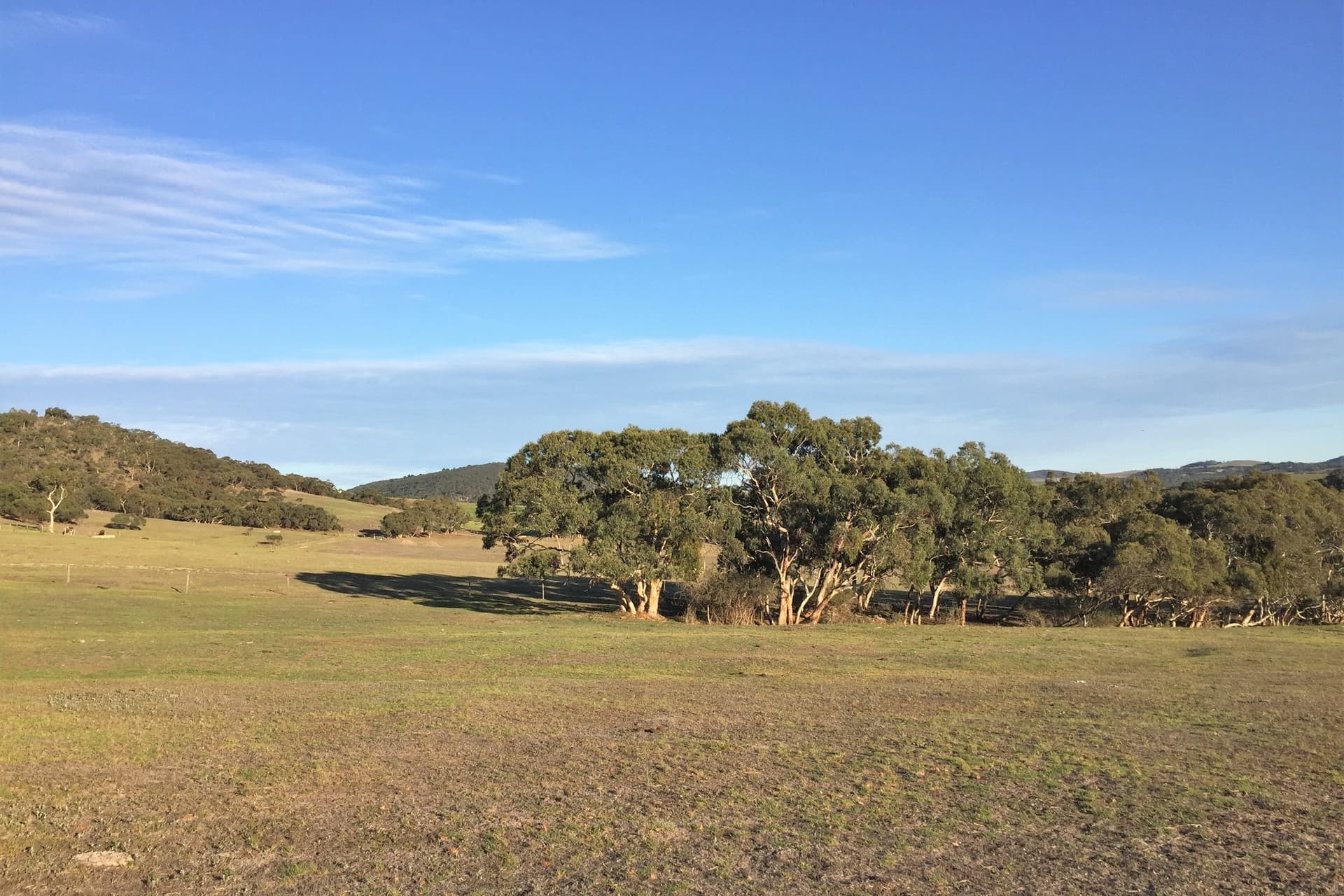 Lot 14 Cleland Gully Road, Tooperang - Thumbnail 2
