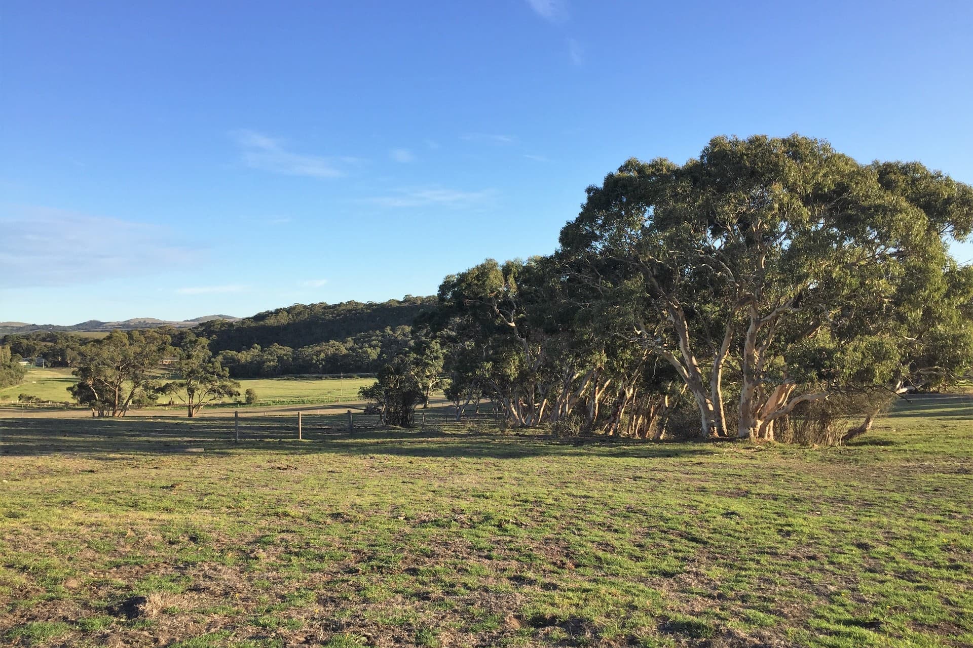 Lot 14 Cleland Gully Road, Tooperang - Thumbnail 3