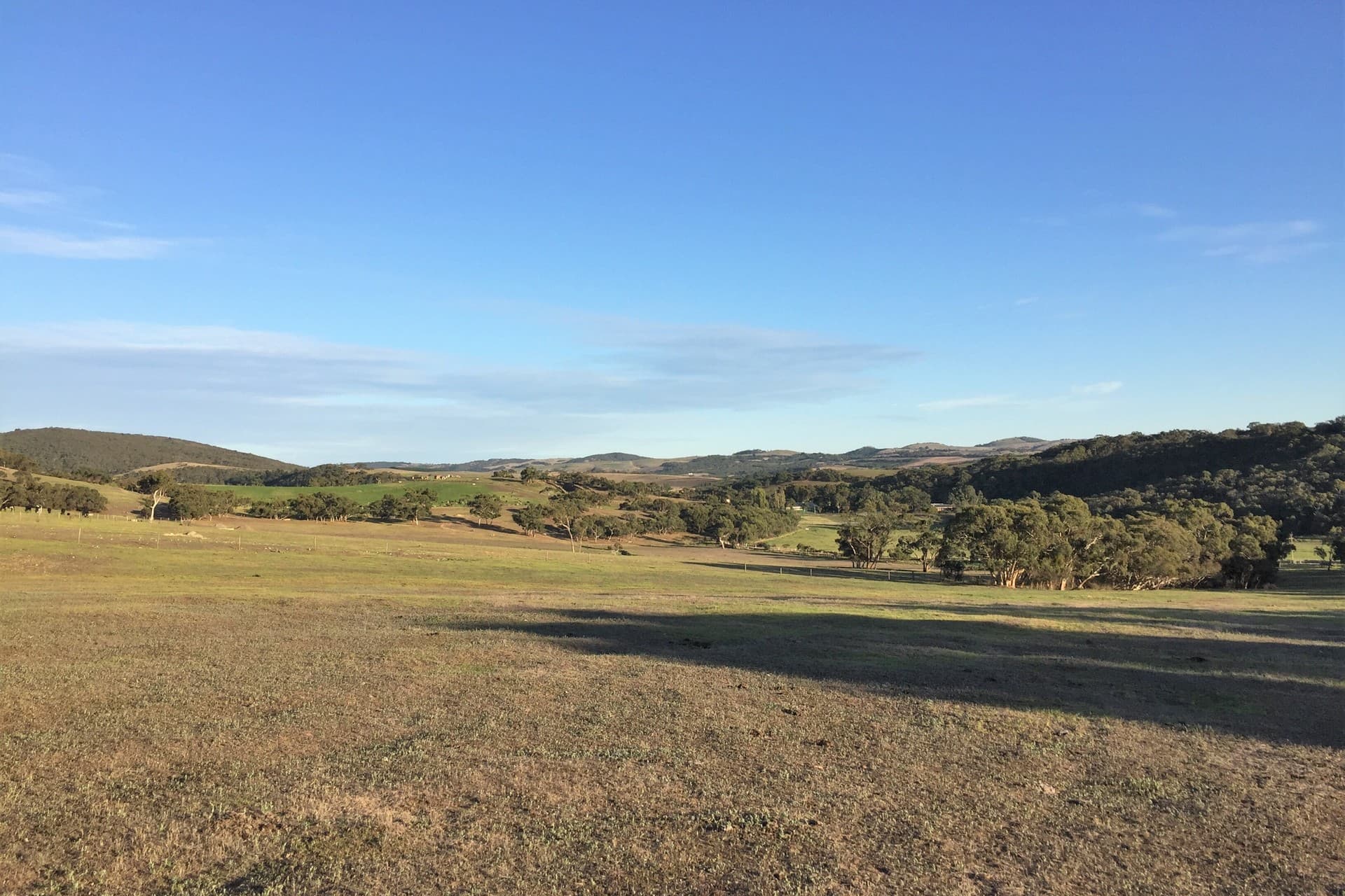 Lot 14 Cleland Gully Road, Tooperang - Thumbnail 4