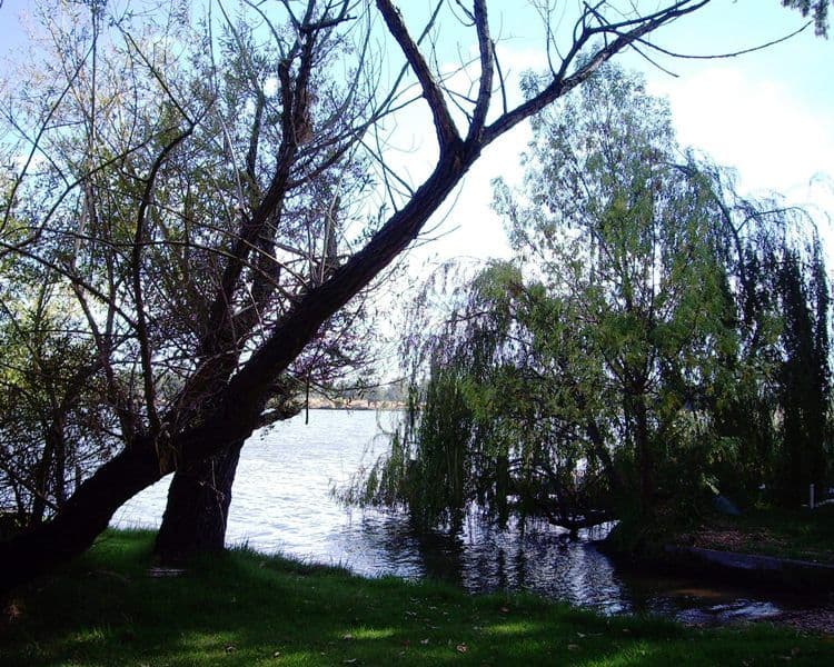 47 Young Street, NAGAMBIE VIC 3608, Nagambie - Thumbnail 8