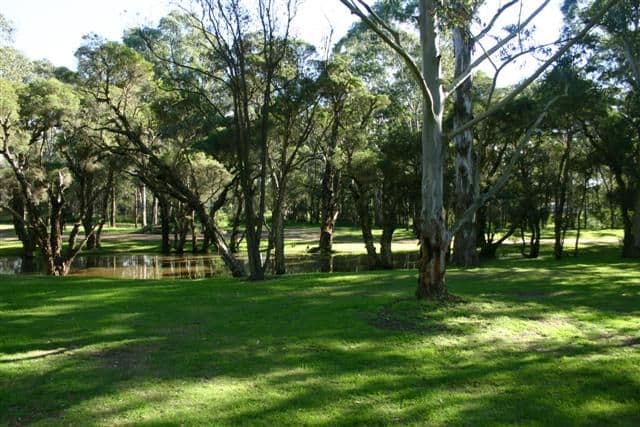 81 Vine Street East, SCHOFIELDS NSW 2762, Schofields - Image 1