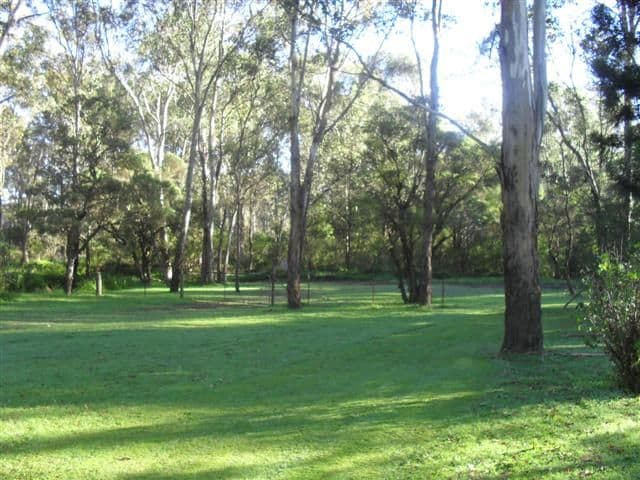 81 Vine Street East, SCHOFIELDS NSW 2762, Schofields - Thumbnail 7
