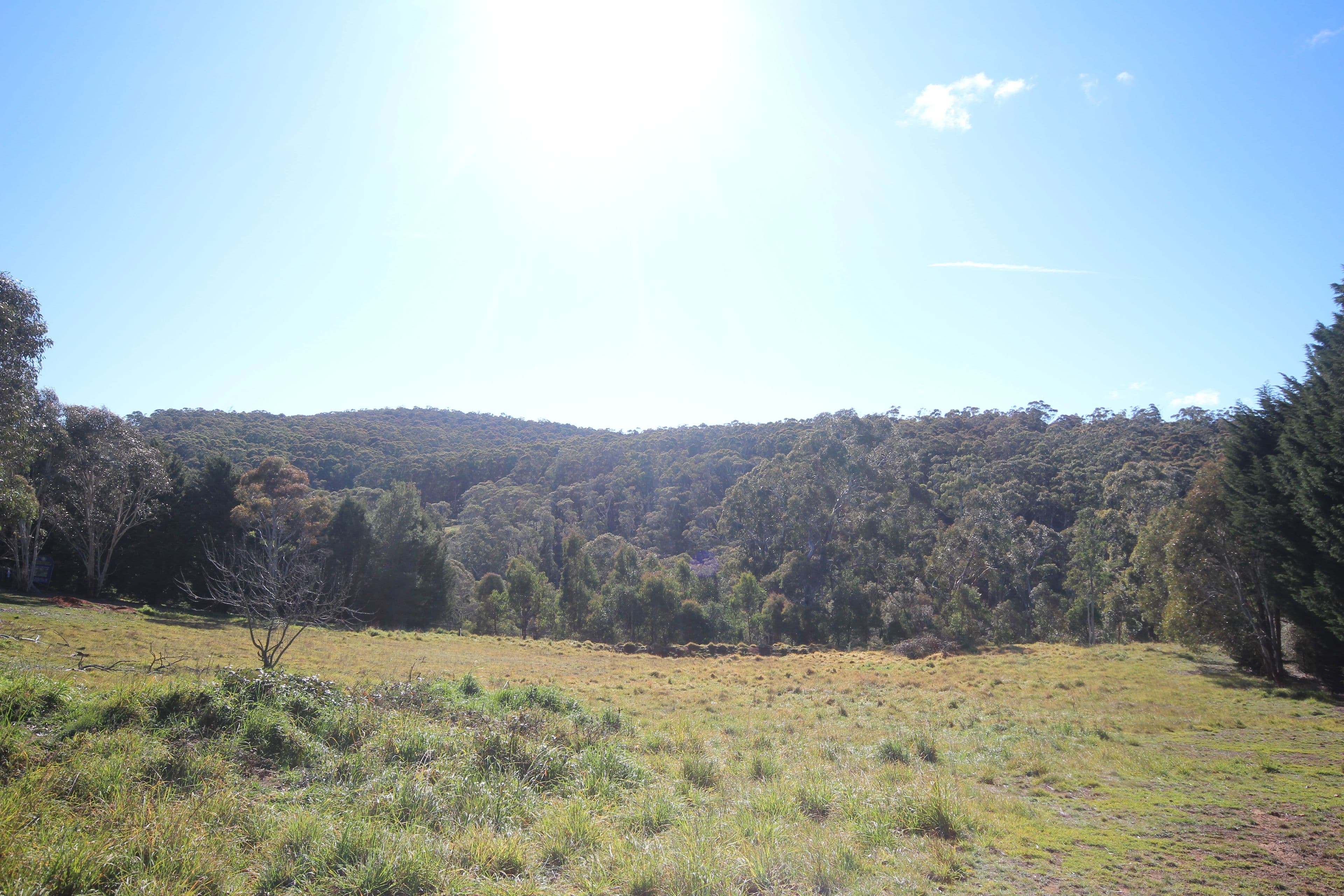 37 Shakespeare Close, Oberon NSW 2787, Oberon - Image 1