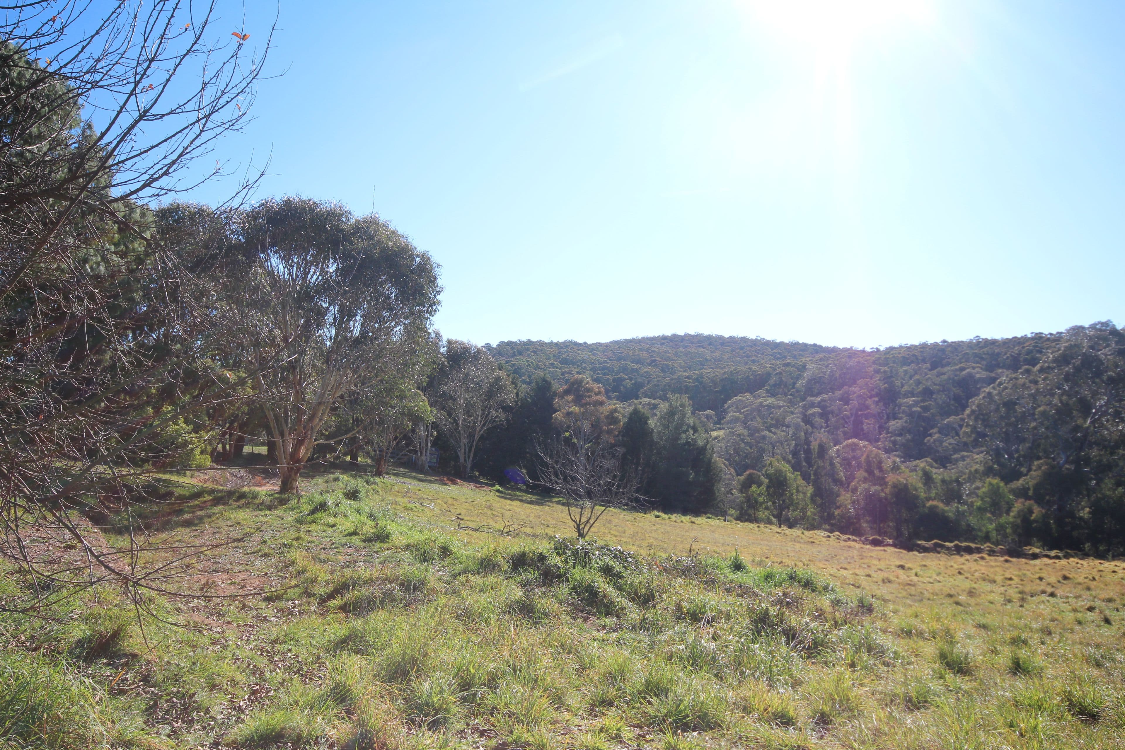 37 Shakespeare Close, Oberon NSW 2787, Oberon - Thumbnail 3