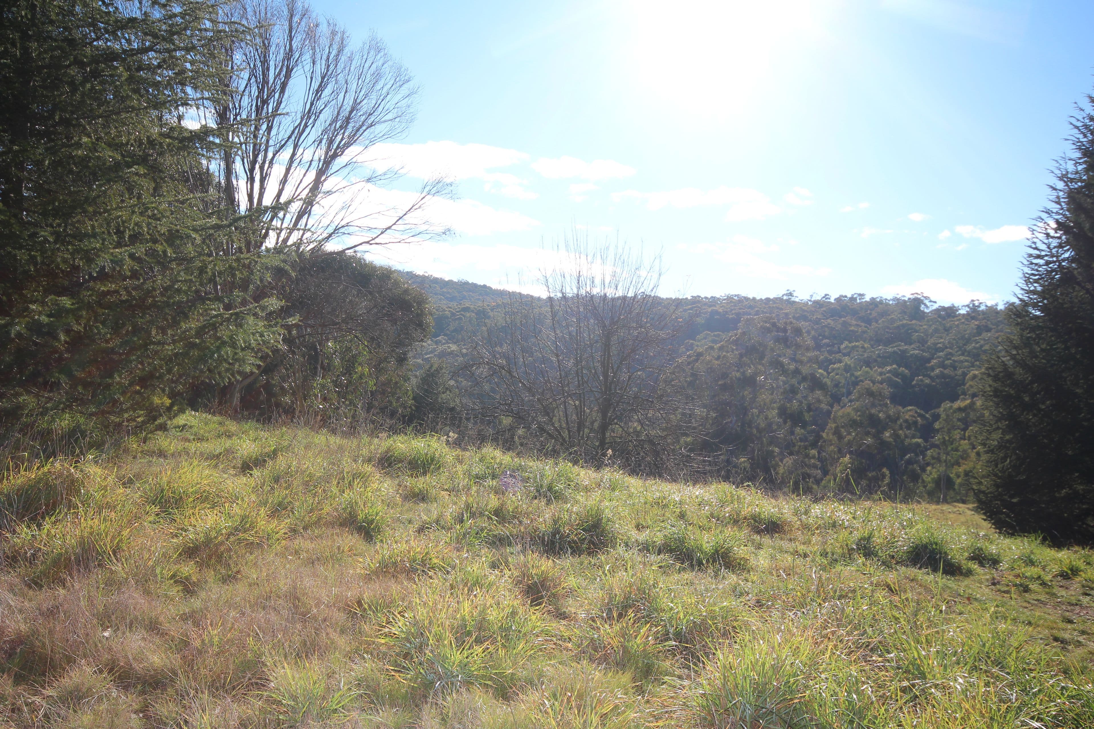 37 Shakespeare Close, Oberon NSW 2787, Oberon - Thumbnail 5