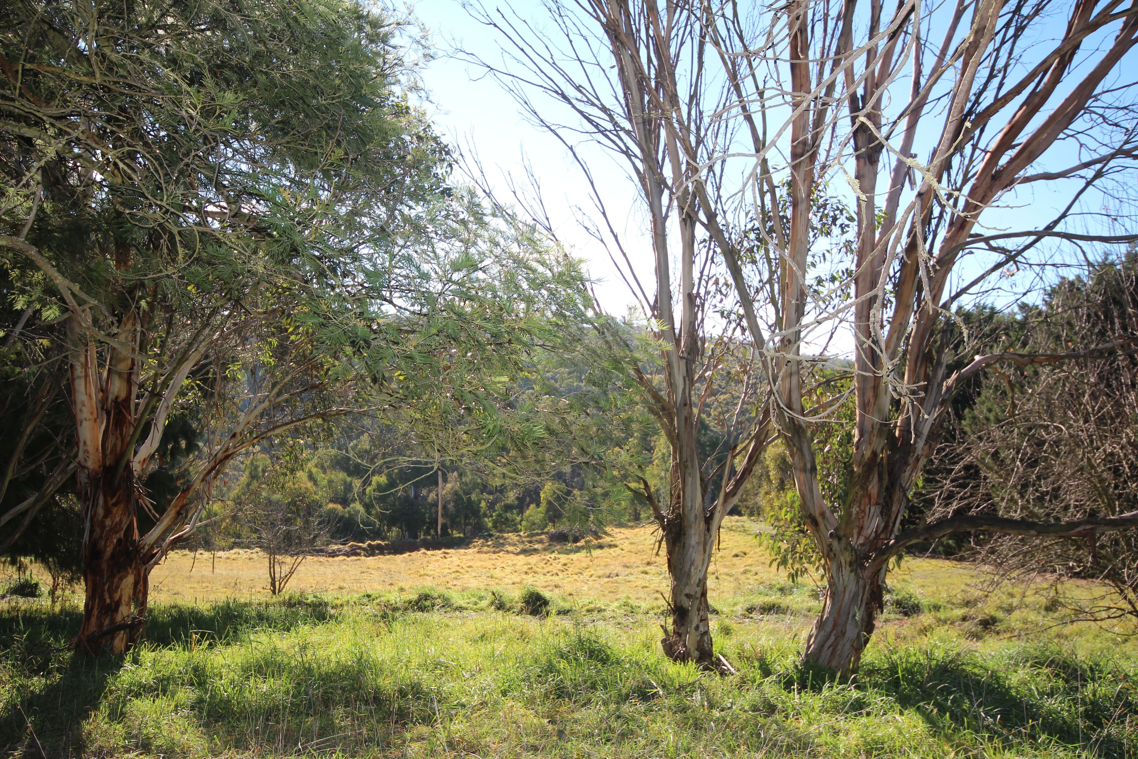 37 Shakespeare Close, Oberon NSW 2787, Oberon - Thumbnail 6