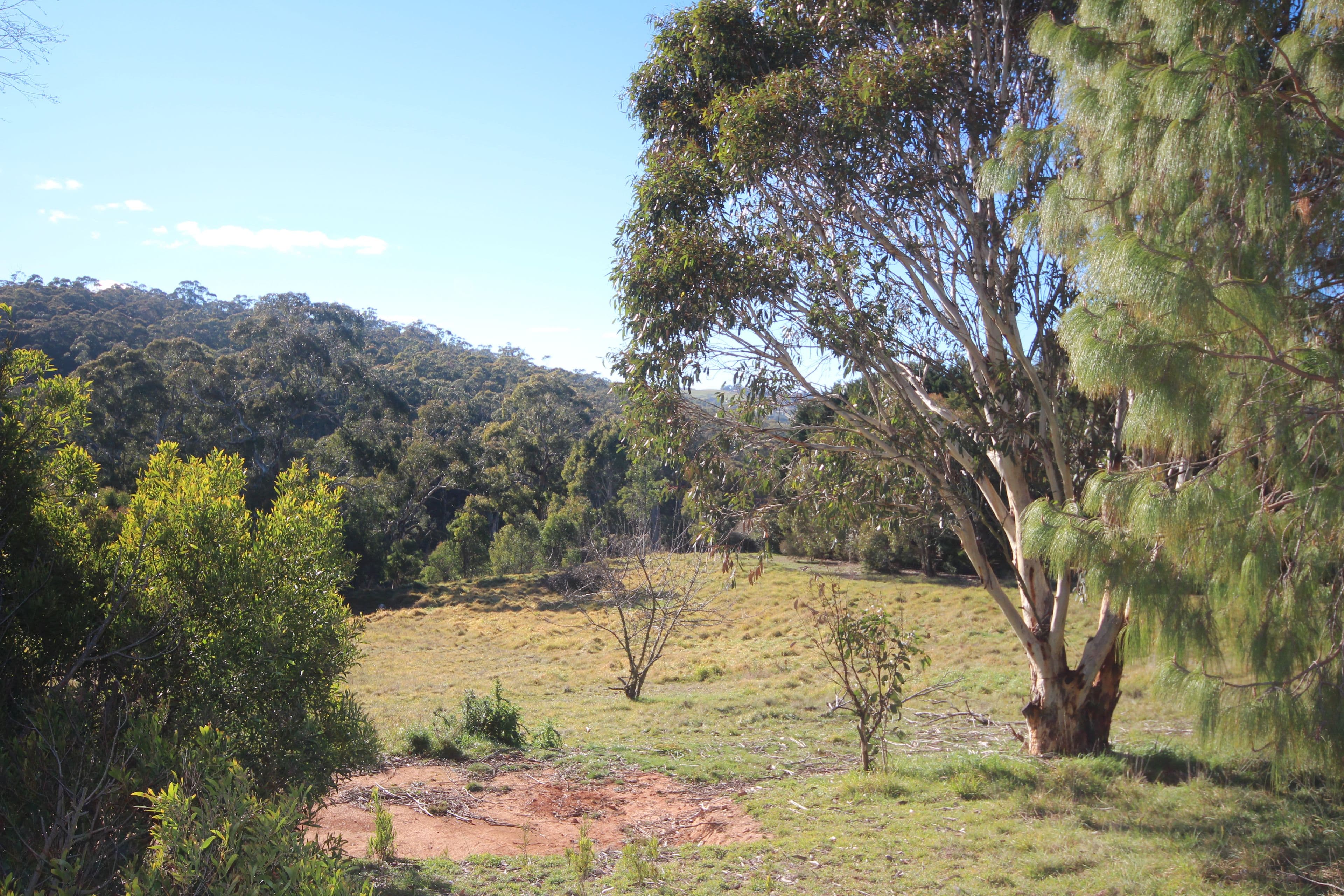 37 Shakespeare Close, Oberon NSW 2787, Oberon - Thumbnail 7