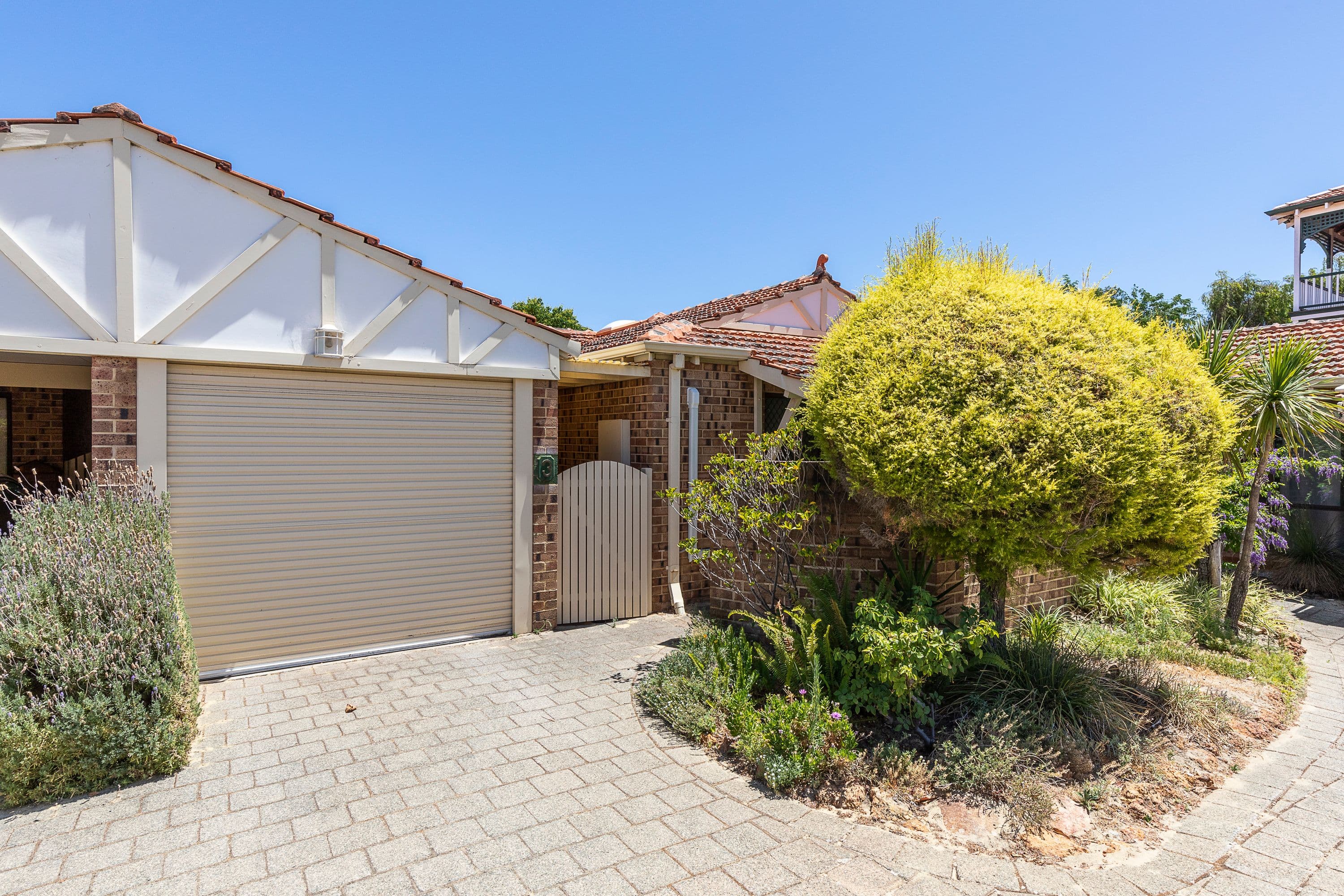19 Field Street, Mount Lawley WA 6050, Mount Lawley - Image 1