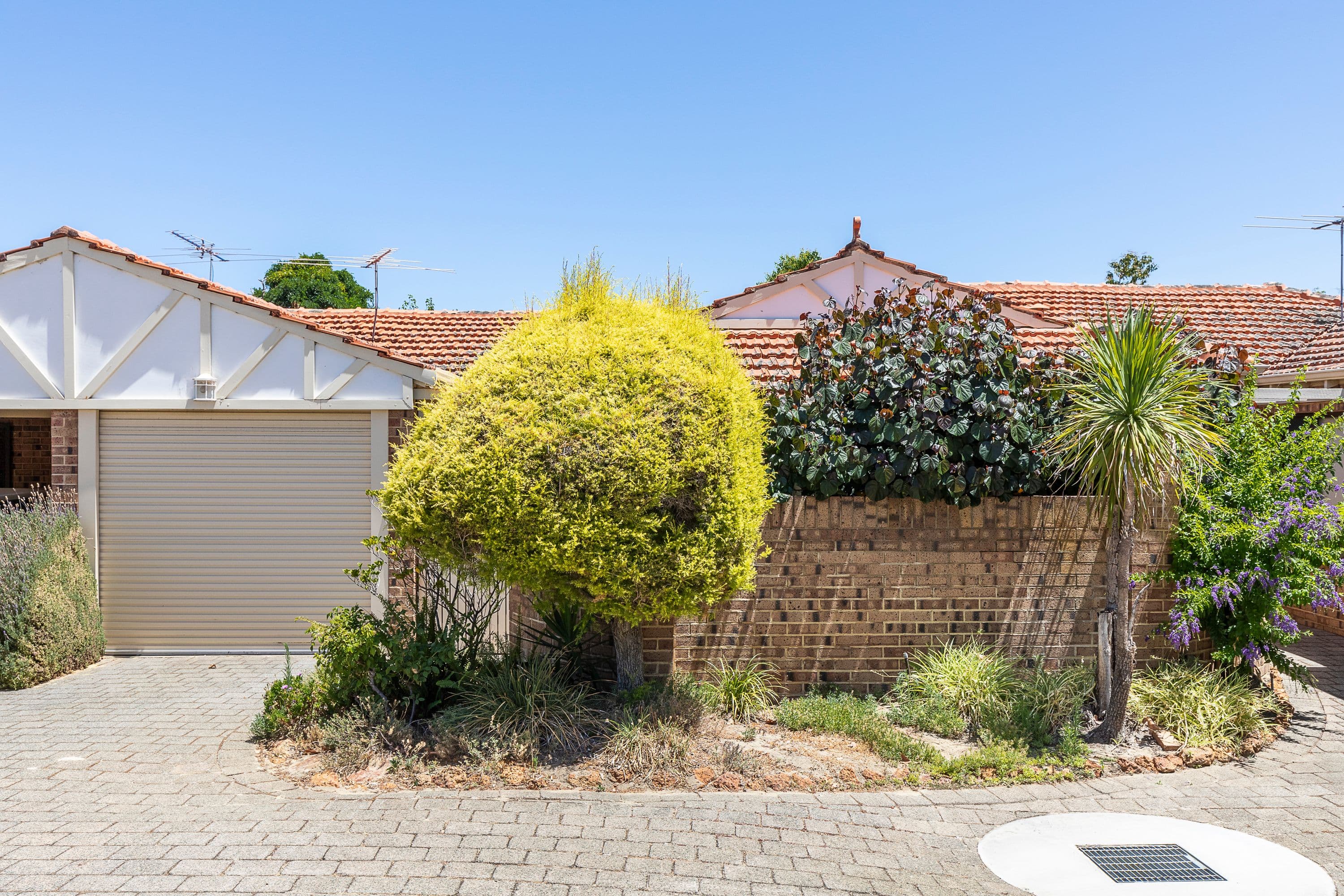 19 Field Street, Mount Lawley WA 6050, Mount Lawley - Thumbnail 2