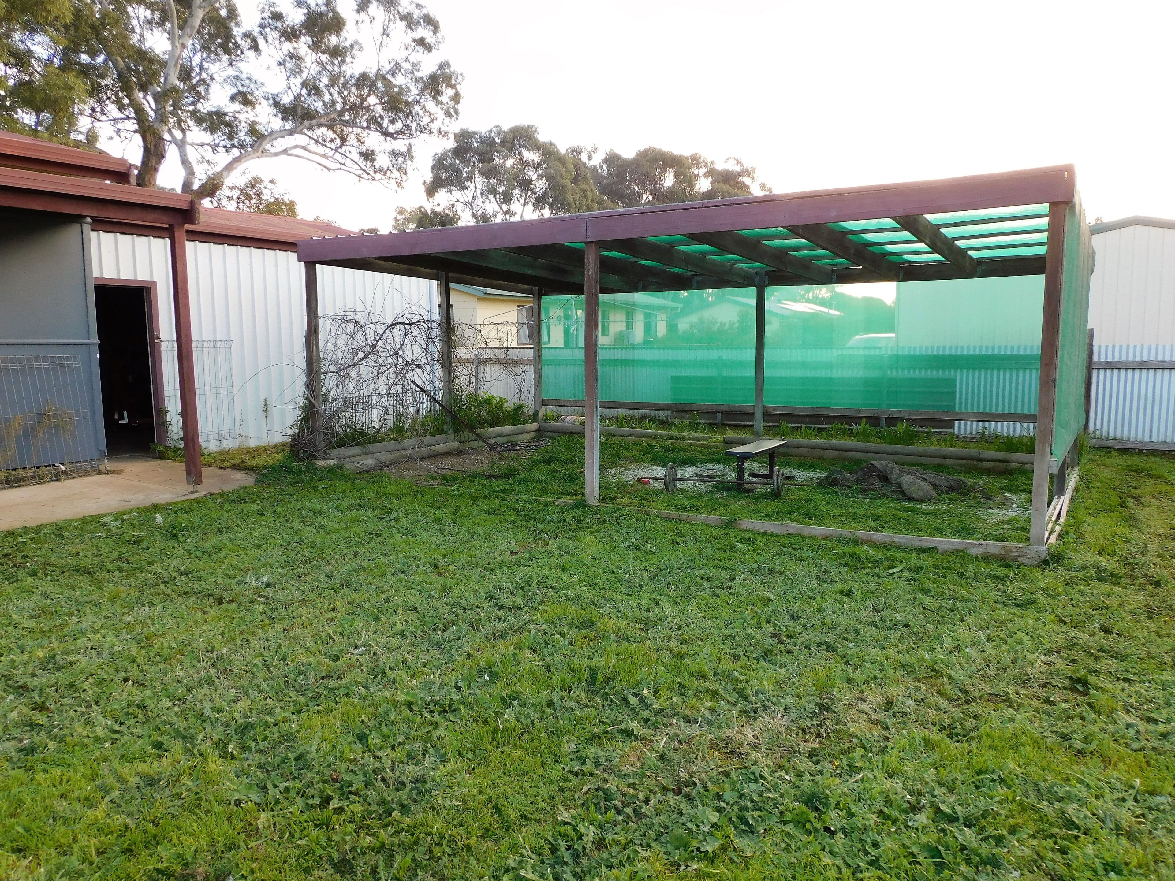 51 Albert Parade, Bordertown SA 5268, Bordertown - Thumbnail 8