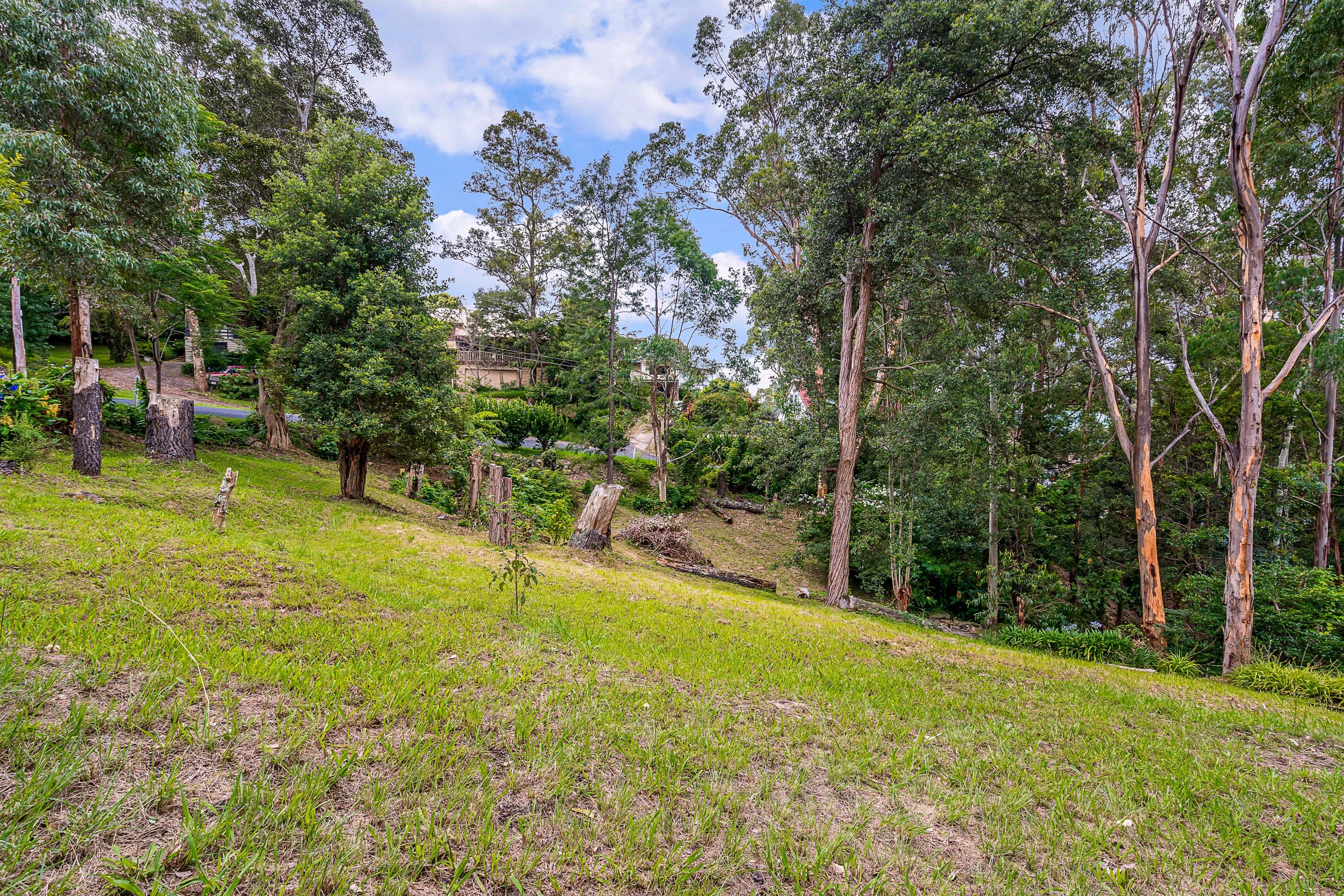 47 Bowen Mountain Road, Bowen Mountain NSW 2753, Bowen Mountain - Thumbnail 2