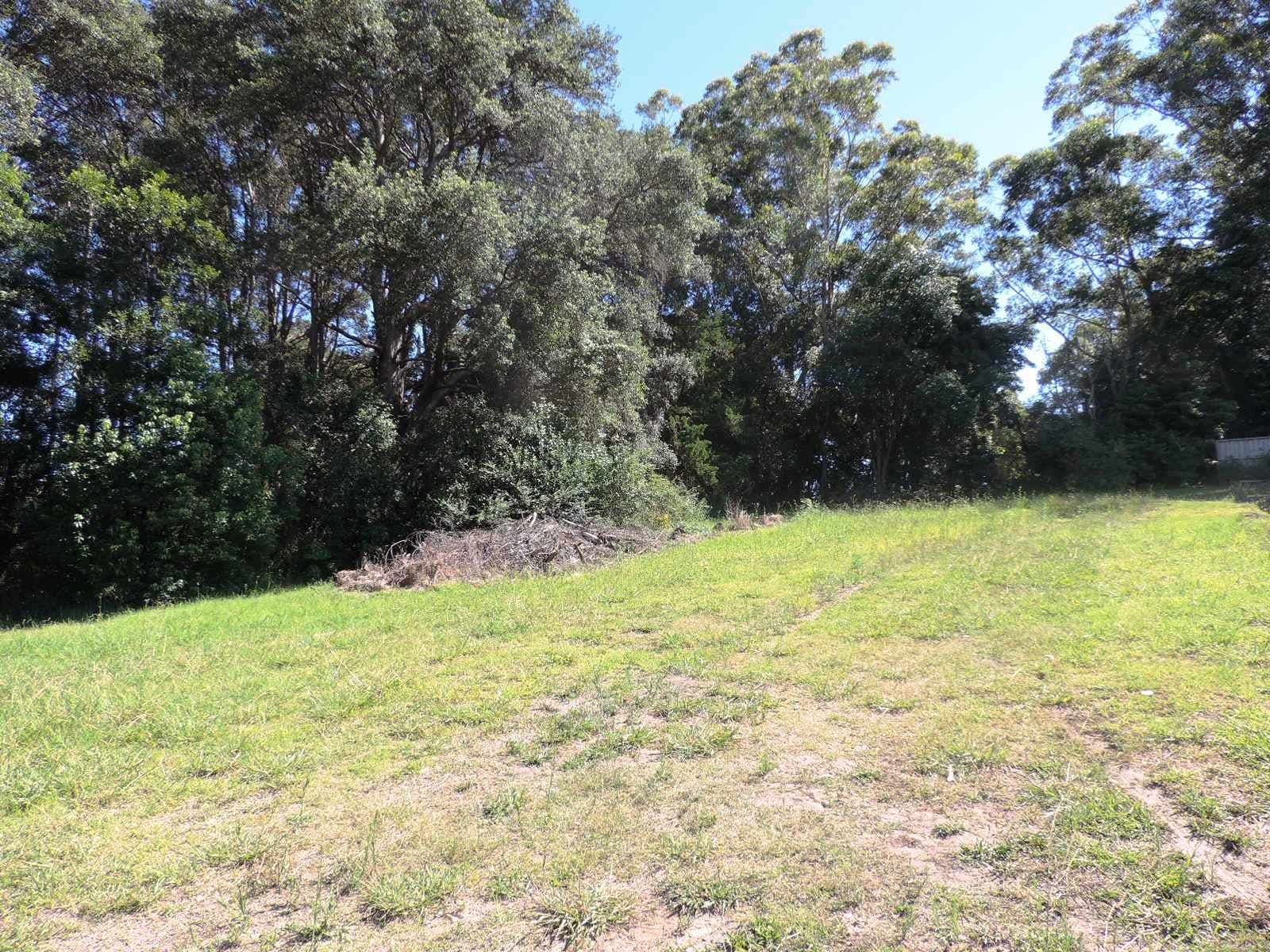17 Boran Place, Berry NSW 2535, Berry - Thumbnail 4