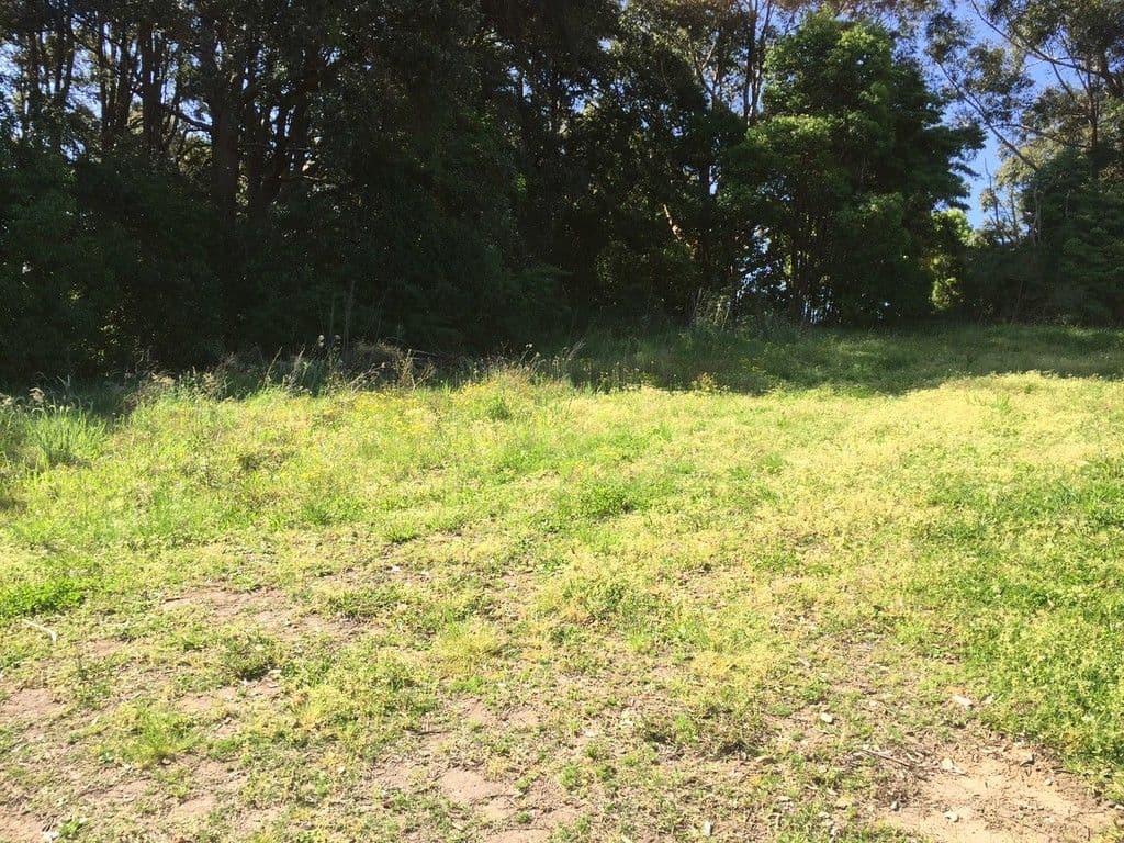 17 Boran Place, Berry NSW 2535, Berry - Thumbnail 6