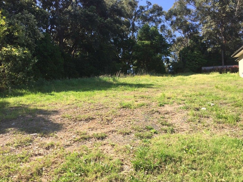 17 Boran Place, Berry NSW 2535, Berry - Thumbnail 7