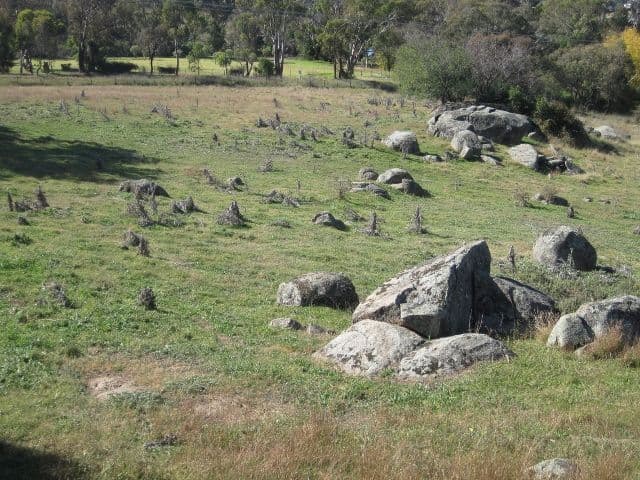 37 Whites Road, YOUNG NSW 2594, Young - Thumbnail 3