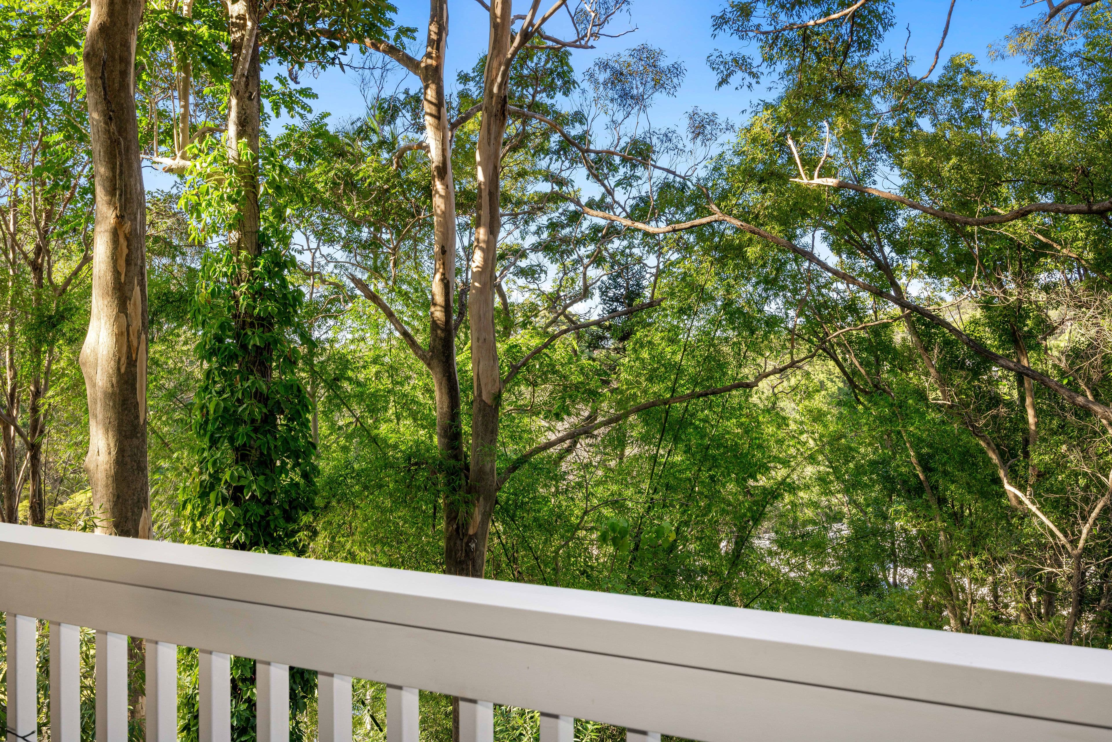 8 Edwin Road, Buderim QLD 4556, Buderim - Thumbnail 3