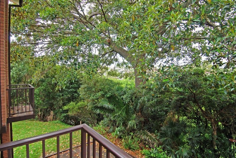 1 Holden Place, KIAMA NSW 2533, Kiama - Thumbnail 7