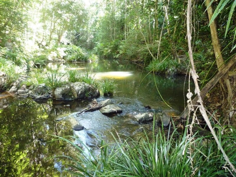 11 Butler Drive, KURANDA QLD 4881, Kuranda - Thumbnail 4