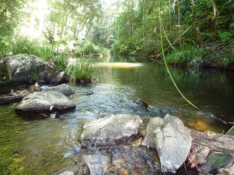 11 Butler Drive, KURANDA QLD 4881, Kuranda - Thumbnail 7