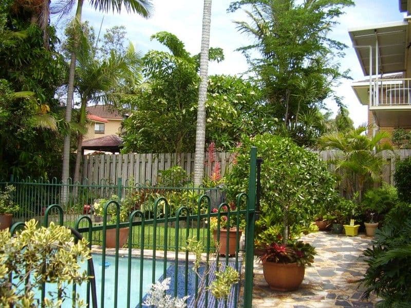 25 Gaillardia Street, MACGREGOR QLD 4109, Macgregor - Thumbnail 4