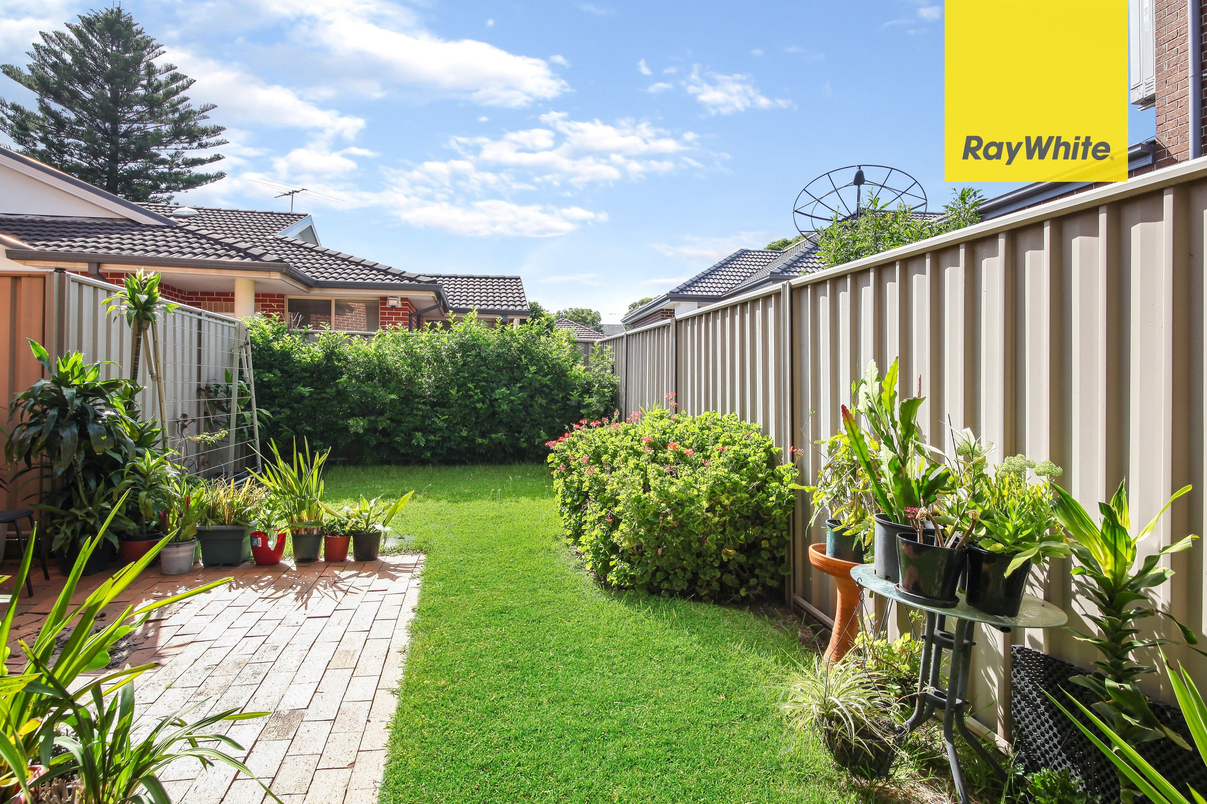 34 Belgium Street, Riverwood NSW 2210, Riverwood - Thumbnail 7