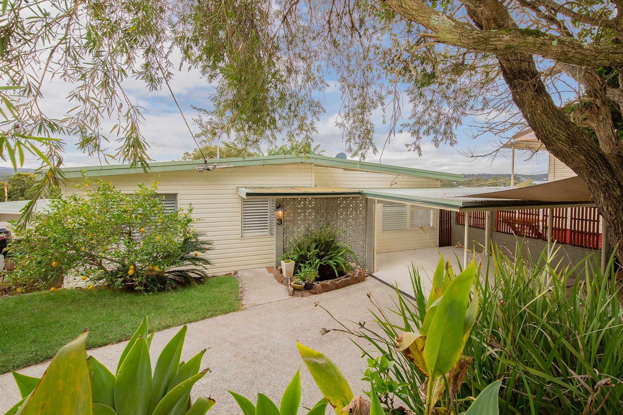 3 Jindalee Street, Toronto NSW 2283, Toronto - Thumbnail 2