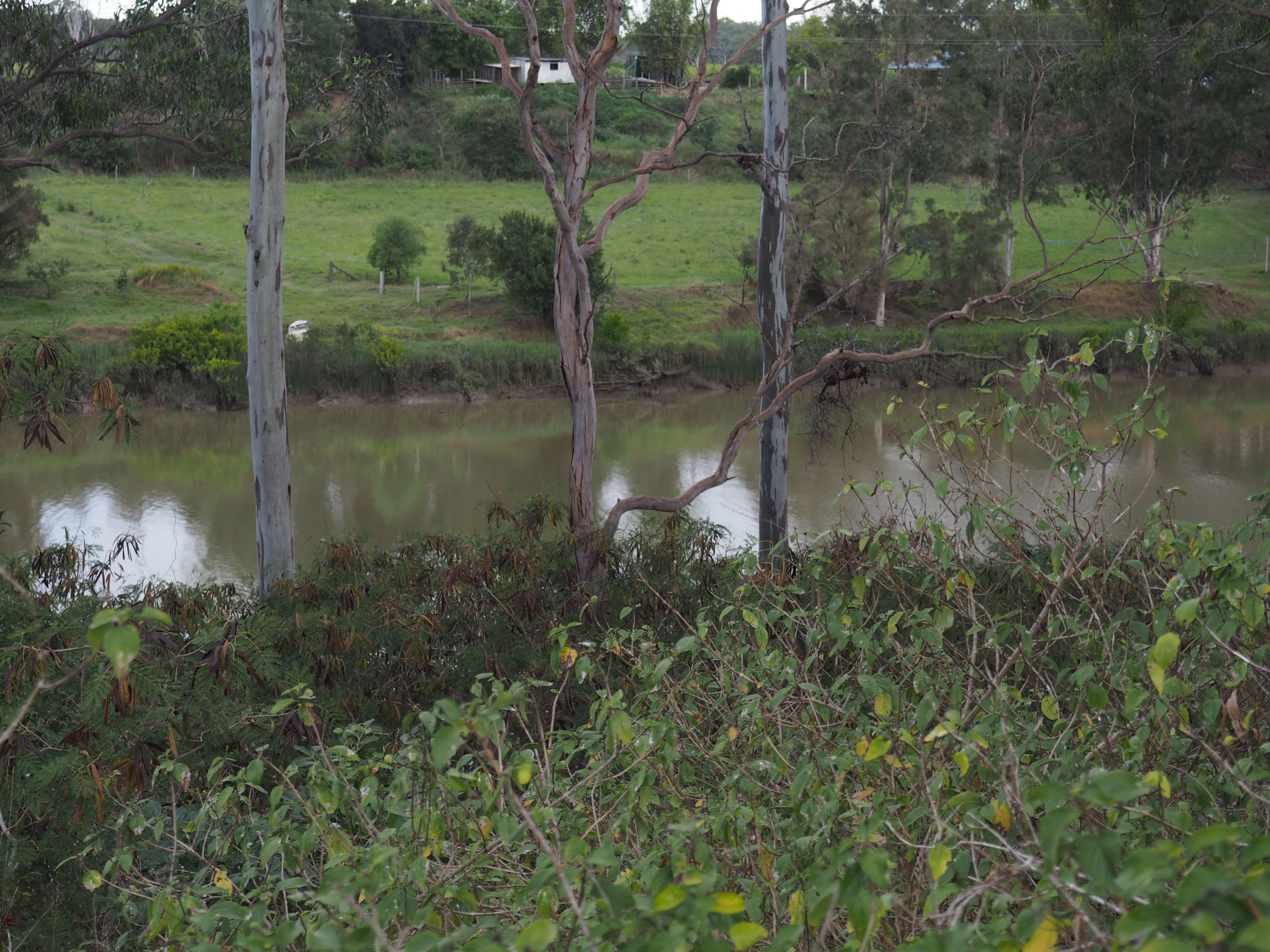 Lot 11 LOUDEN Close, Yengarie QLD 4650, Yengarie - Image 1