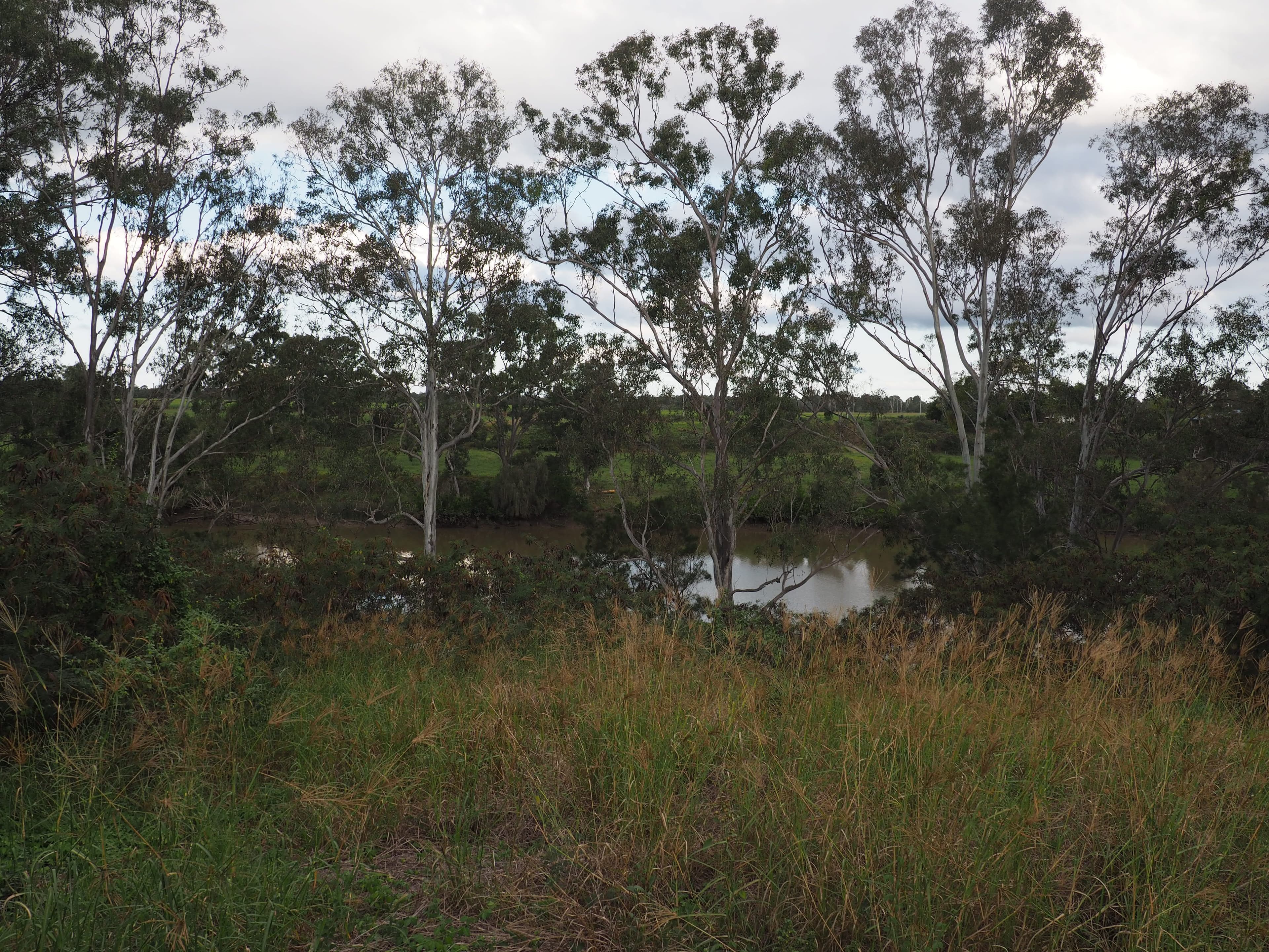 Lot 11 LOUDEN Close, Yengarie QLD 4650, Yengarie - Thumbnail 4
