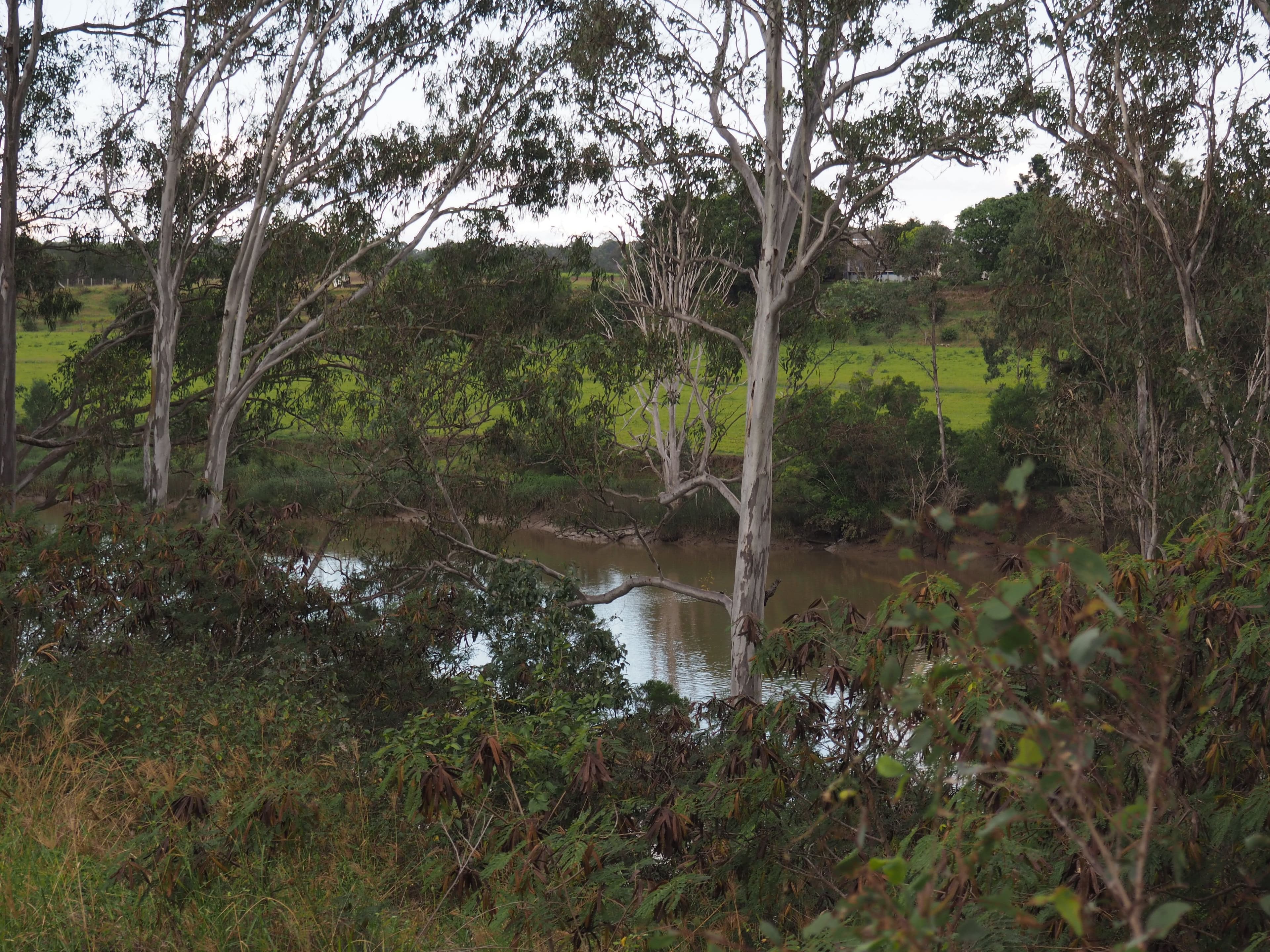 Lot 11 LOUDEN Close, Yengarie QLD 4650, Yengarie - Thumbnail 5