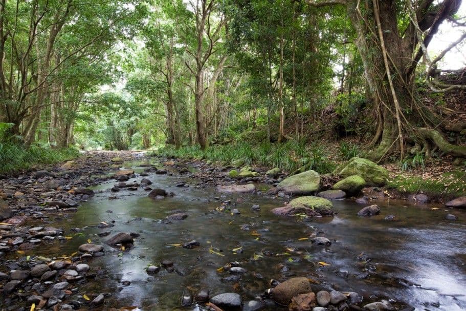 302 Bridge Creek Road, Maleny QLD 4552, Maleny - Thumbnail 2