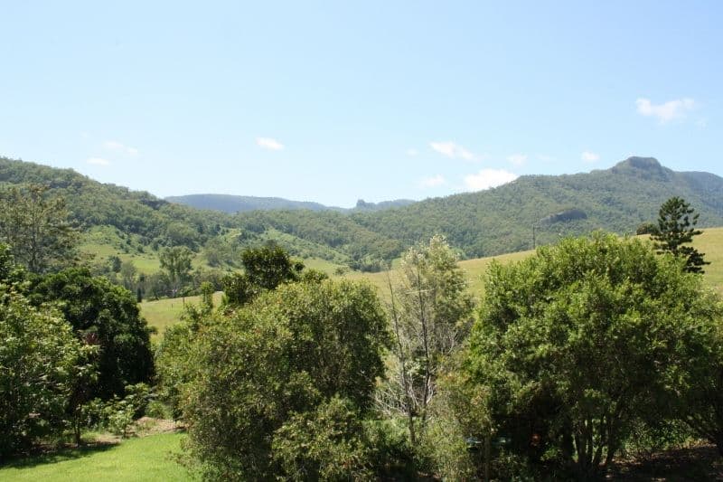 51 Cedar Glen Road, Darlington QLD 4285, Darlington - Thumbnail 3