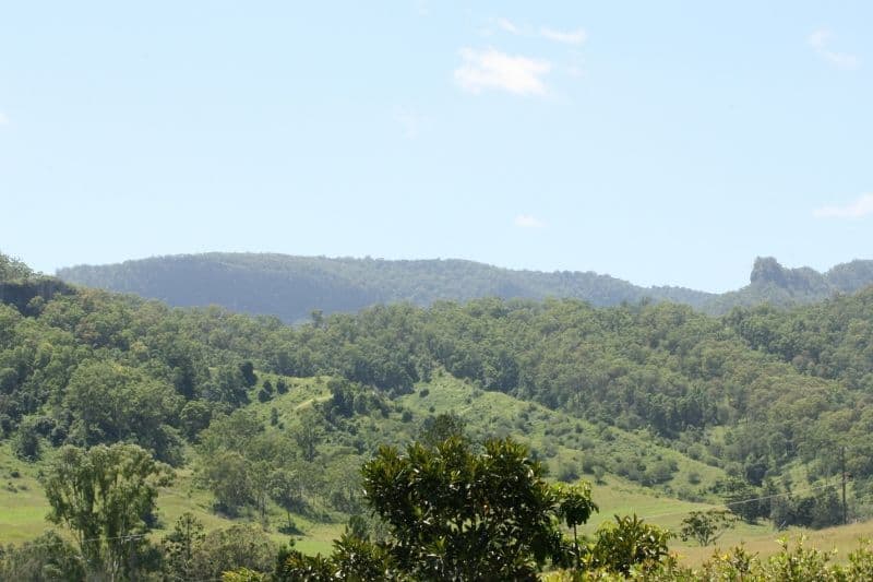 51 Cedar Glen Road, Darlington QLD 4285, Darlington - Thumbnail 6