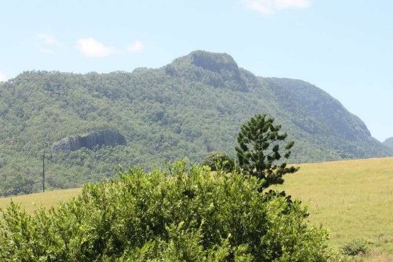 51 Cedar Glen Road, Darlington QLD 4285, Darlington - Thumbnail 8