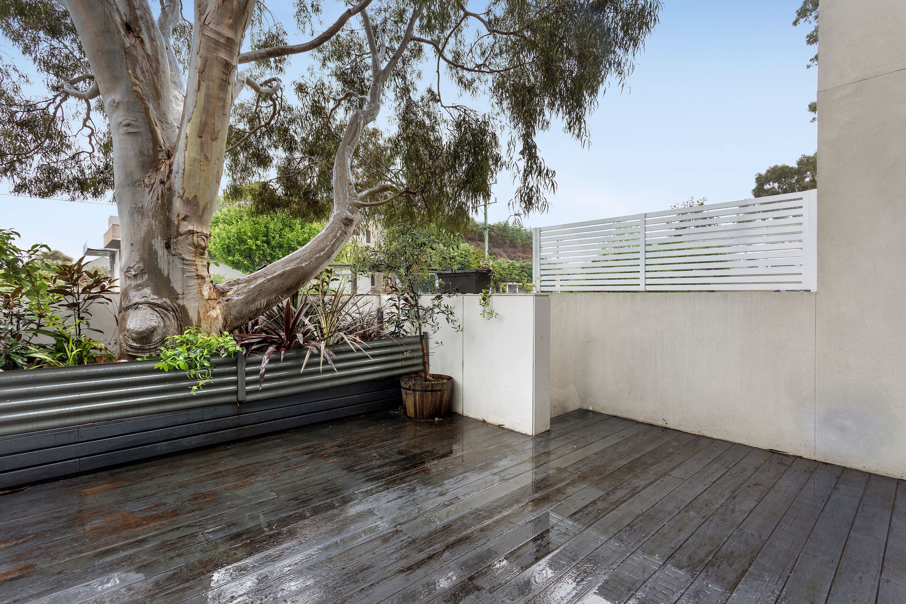 425 Warrigal Road, Burwood VIC 3125, Burwood - Thumbnail 6