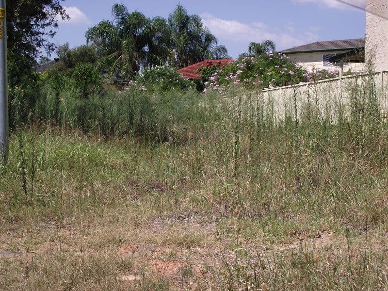 90 Dalmeny Drive, PRESTONS NSW 2170, Prestons - Image 1
