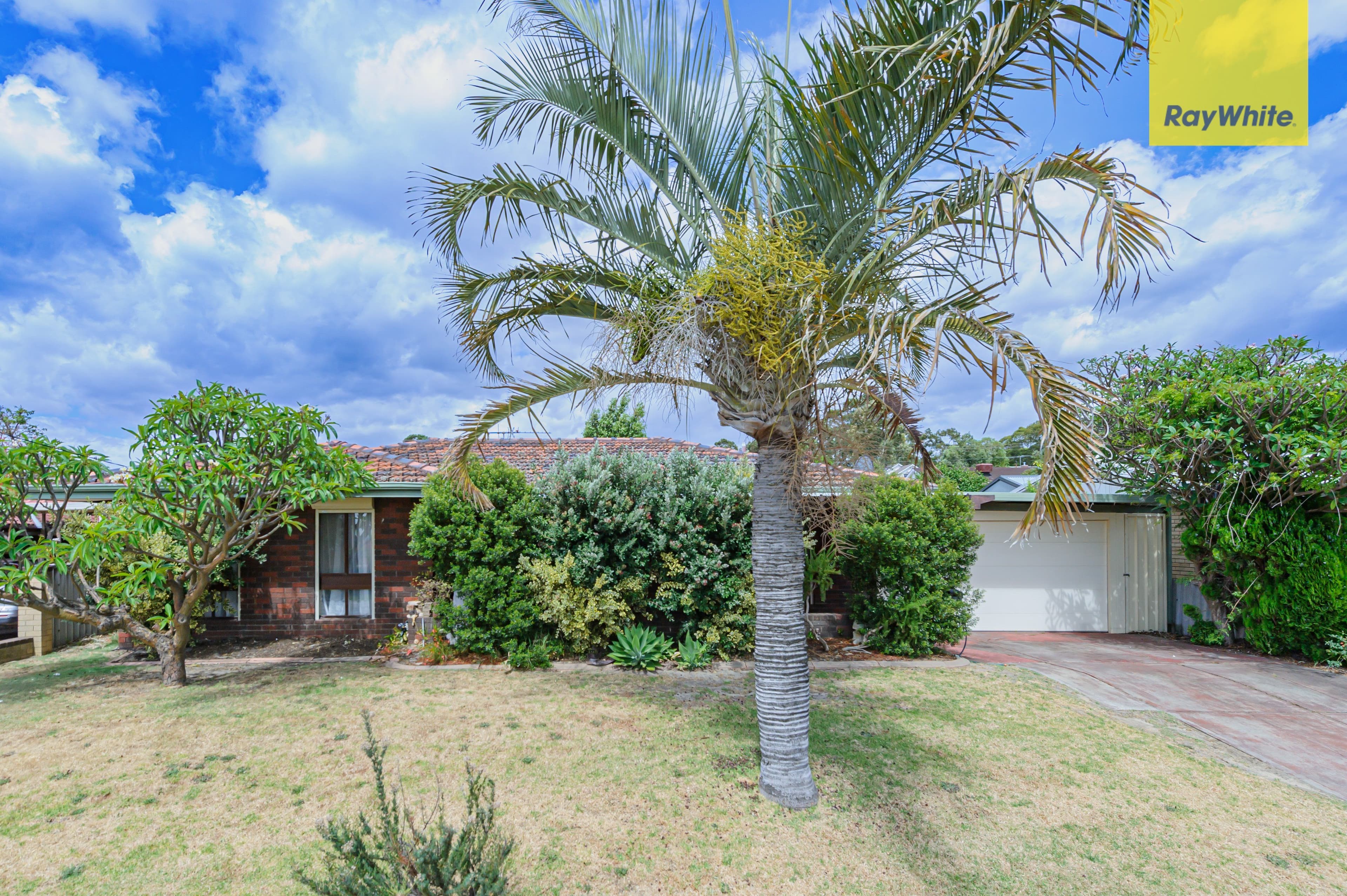 16 Frost Street, Swan View WA 6056, Swan View - Thumbnail 2