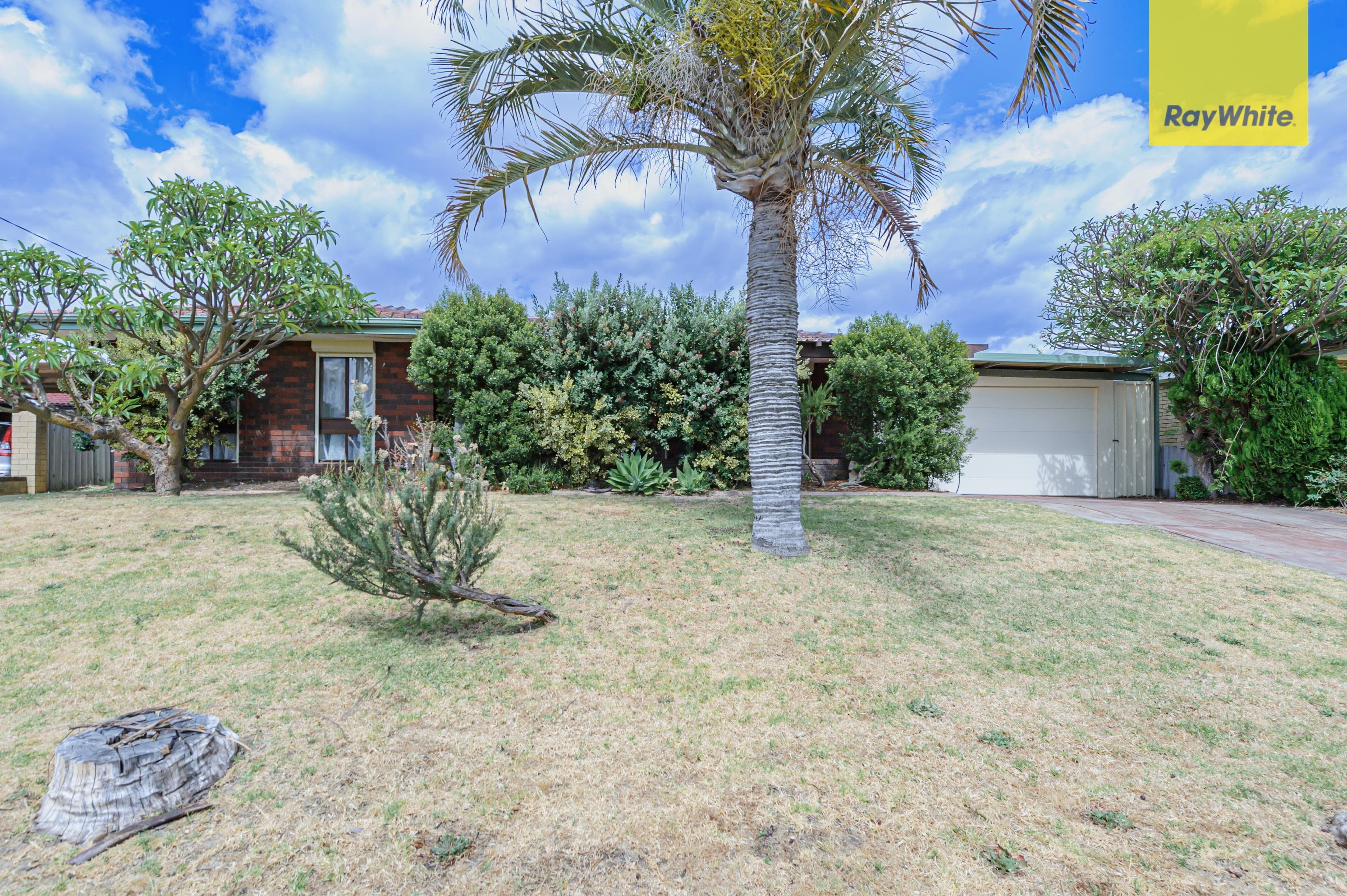 16 Frost Street, Swan View WA 6056, Swan View - Thumbnail 3