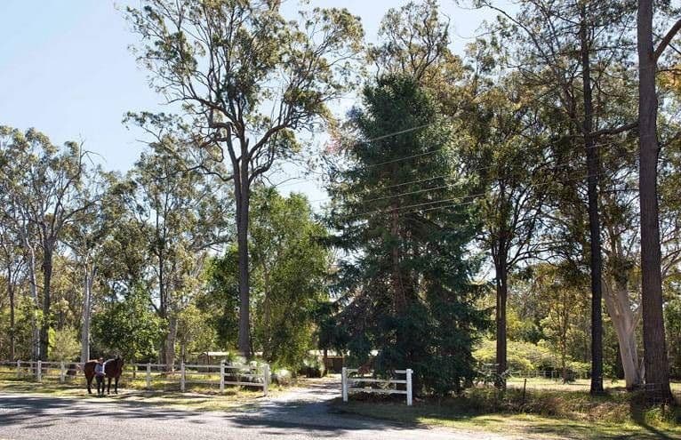291 Bacton Road, Chandler QLD 4155, Chandler - Thumbnail 3