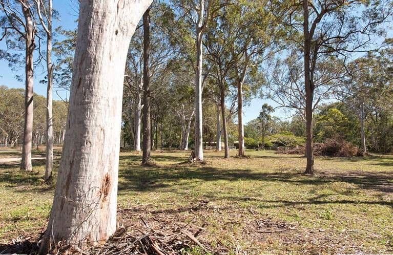 291 Bacton Road, Chandler QLD 4155, Chandler - Thumbnail 4