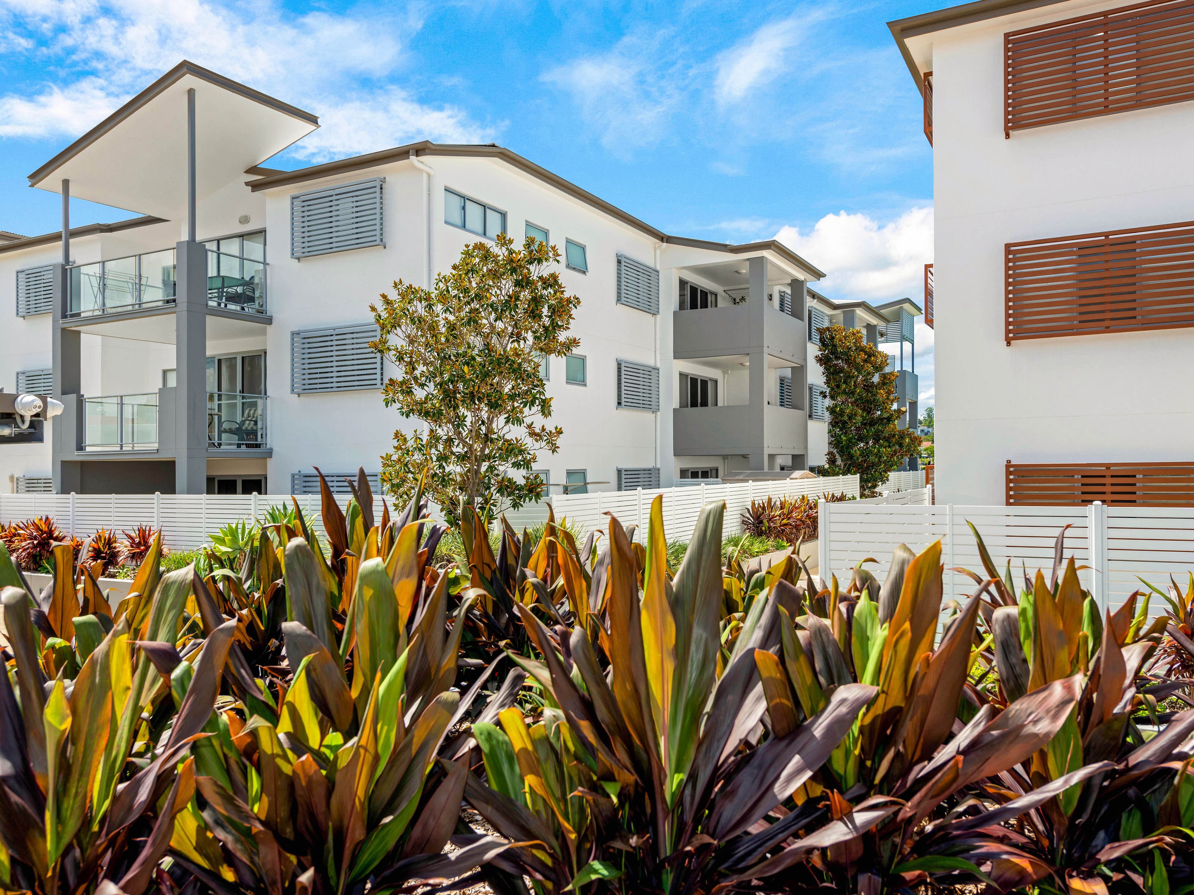 6 Babarra Street, Stafford QLD 4053, Stafford - Image 1