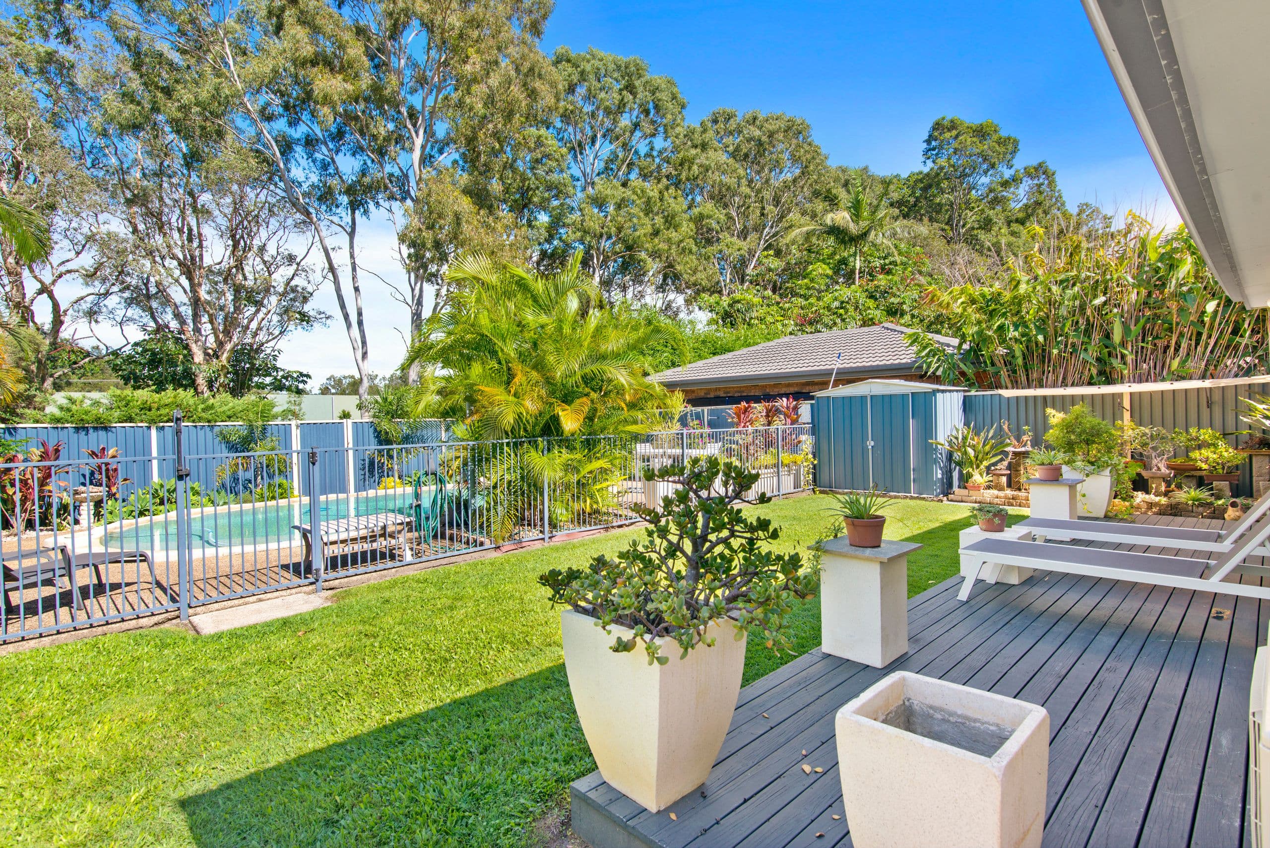 49 Mitchell Avenue, Currumbin QLD 4223, Currumbin - Thumbnail 3