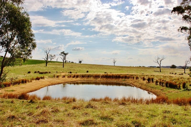 Lot 16 Golden Grove Road, YOUNG NSW 2594, Young - Image 1